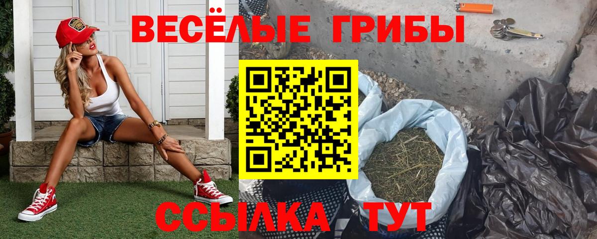 Псилоцибиновые грибы мухоморы Сердобск
