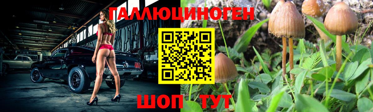 Сердобск  где найти   Вход с VPN  Галлюциногенные грибы мицелий 
